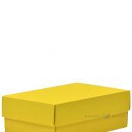 Yellow lid for carton box 170x110x60mm M