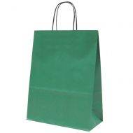 Zaļš papīra maiss ar vītiem papīra rokturiem 24+11x31cm