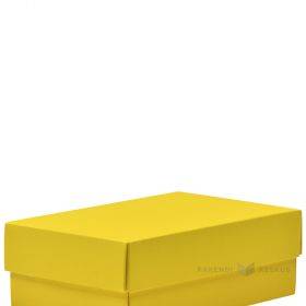 Yellow lid for carton box 170x110x60mm M