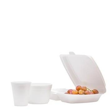 THERMO DISHES
