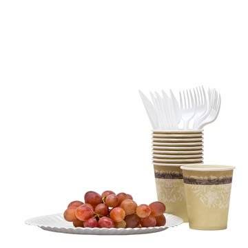 DISPOSABLE DISHES