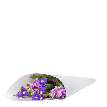 PACKAGING PAPERS